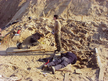 credit_photo_o_dutour_001hd