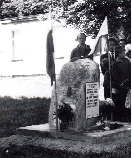 narkowynoweNarkowykamien